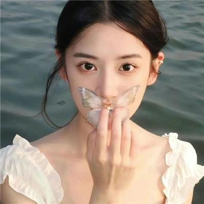 鲨鱼：风暴